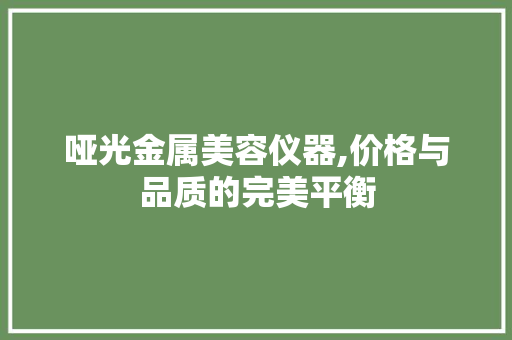 哑光金属美容仪器,价格与品质的完美平衡