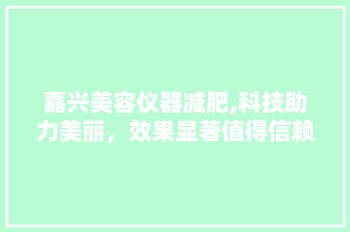 嘉兴美容仪器减肥,科技助力美丽，效果显著值得信赖