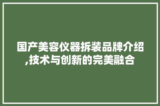 国产美容仪器拆装品牌介绍,技术与创新的完美融合