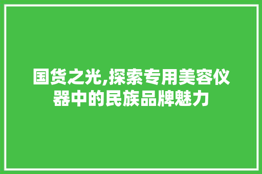 国货之光,探索专用美容仪器中的民族品牌魅力