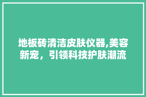地板砖清洁皮肤仪器,美容新宠，引领科技护肤潮流