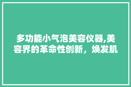 多功能小气泡美容仪器,美容界的革命性创新，焕发肌肤青春活力 婚姻情感