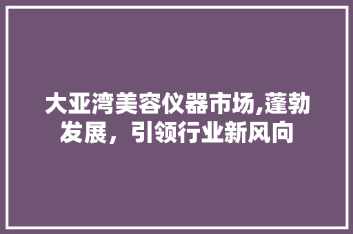 大亚湾美容仪器市场,蓬勃发展，引领行业新风向
