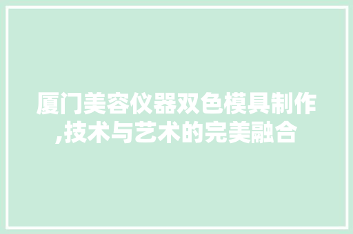 厦门美容仪器双色模具制作,技术与艺术的完美融合