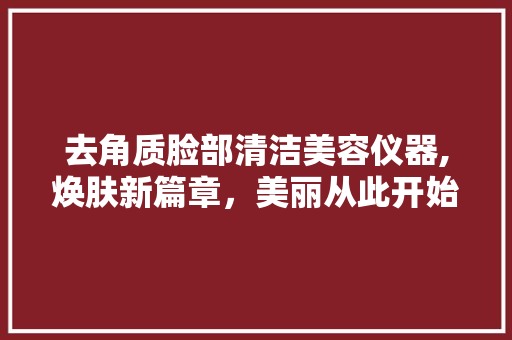 去角质脸部清洁美容仪器,焕肤新篇章，美丽从此开始