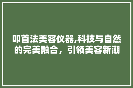 叩首法美容仪器,科技与自然的完美融合，引领美容新潮流