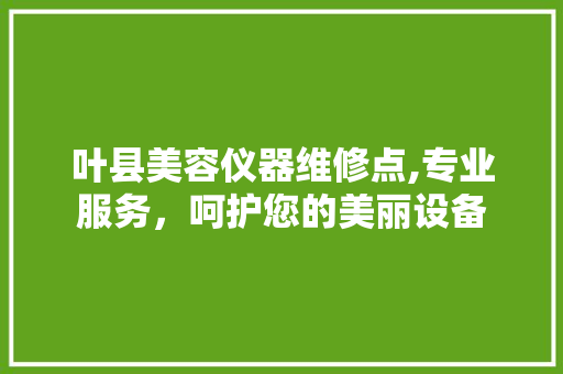 叶县美容仪器维修点,专业服务，呵护您的美丽设备