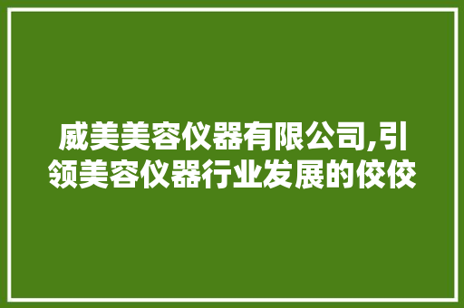 威美美容仪器有限公司,引领美容仪器行业发展的佼佼者