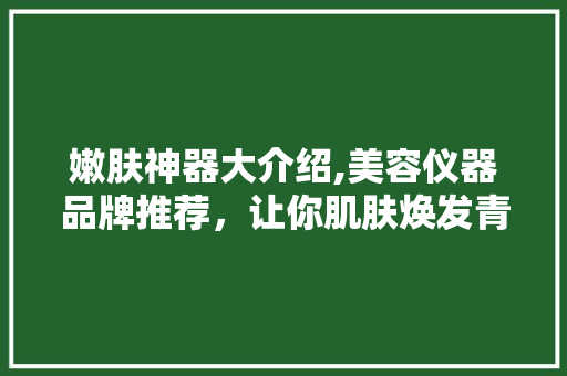 嫩肤神器大介绍,美容仪器品牌推荐，让你肌肤焕发青春光彩