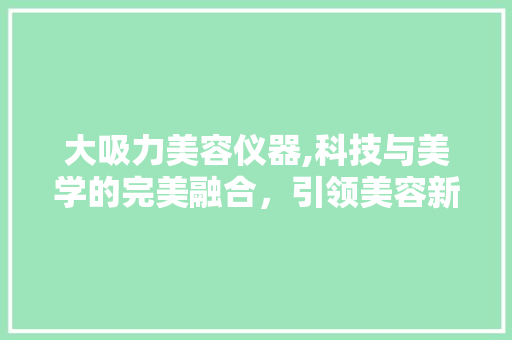 大吸力美容仪器,科技与美学的完美融合，引领美容新潮流