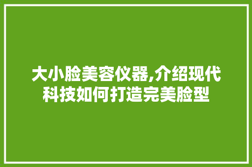大小脸美容仪器,介绍现代科技如何打造完美脸型
