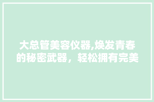 大总管美容仪器,焕发青春的秘密武器，轻松拥有完美肌肤