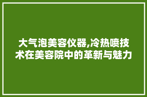 大气泡美容仪器,冷热喷技术在美容院中的革新与魅力