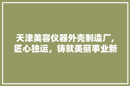 天津美容仪器外壳制造厂,匠心独运，铸就美丽事业新篇章