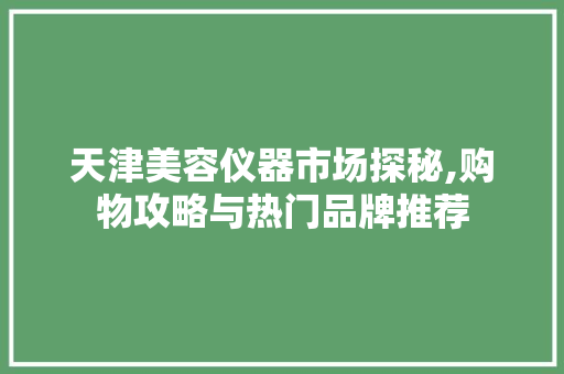 天津美容仪器市场探秘,购物攻略与热门品牌推荐