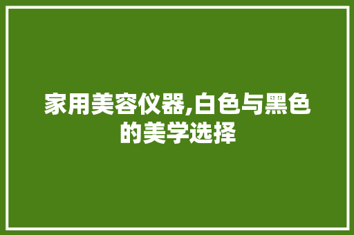 家用美容仪器,白色与黑色的美学选择 美体修身