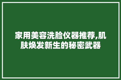 家用美容洗脸仪器推荐,肌肤焕发新生的秘密武器 饮食大全
