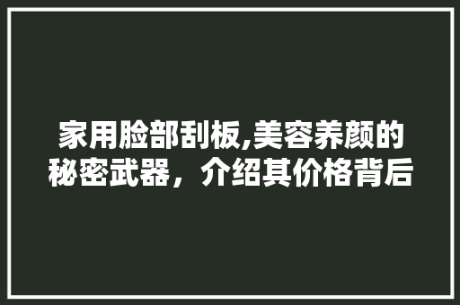 家用脸部刮板,美容养颜的秘密武器，介绍其价格背后的价值