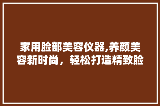 家用脸部美容仪器,养颜美容新时尚，轻松打造精致脸庞