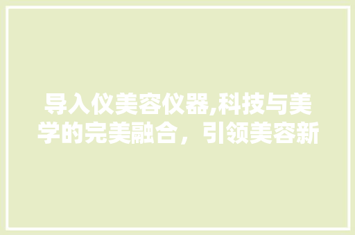 导入仪美容仪器,科技与美学的完美融合，引领美容新风尚