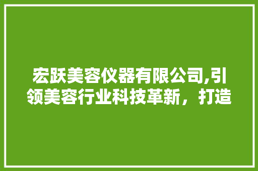 宏跃美容仪器有限公司,引领美容行业科技革新，打造美丽新风尚