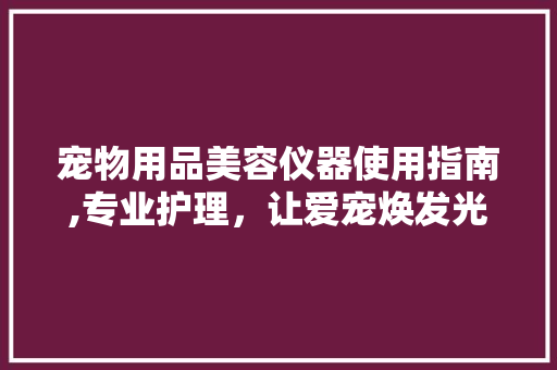 宠物用品美容仪器使用指南,专业护理，让爱宠焕发光彩 综合便民