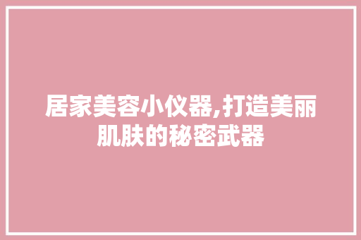 居家美容小仪器,打造美丽肌肤的秘密武器