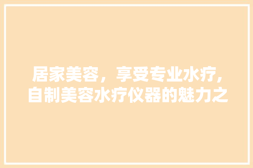 居家美容，享受专业水疗,自制美容水疗仪器的魅力之旅