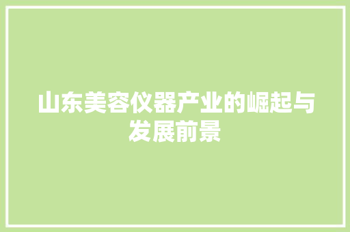 山东美容仪器产业的崛起与发展前景 母婴育儿