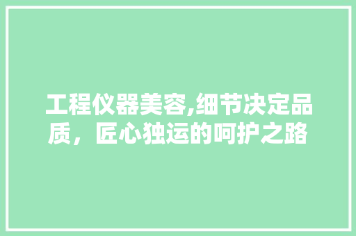 工程仪器美容,细节决定品质，匠心独运的呵护之路