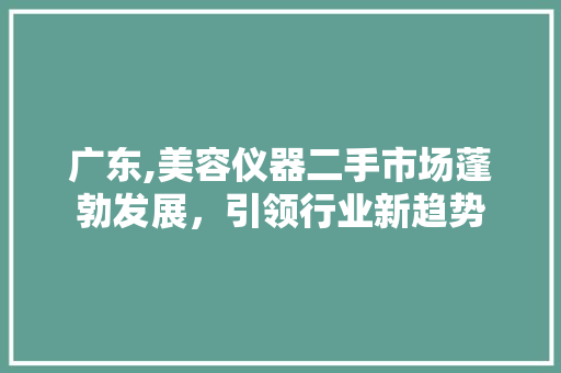 广东,美容仪器二手市场蓬勃发展，引领行业新趋势