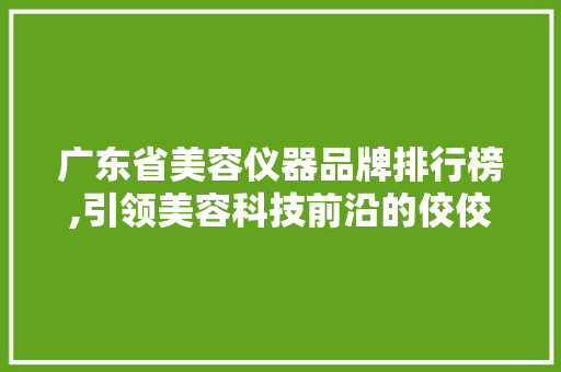 广东省美容仪器品牌排行榜,引领美容科技前沿的佼佼者