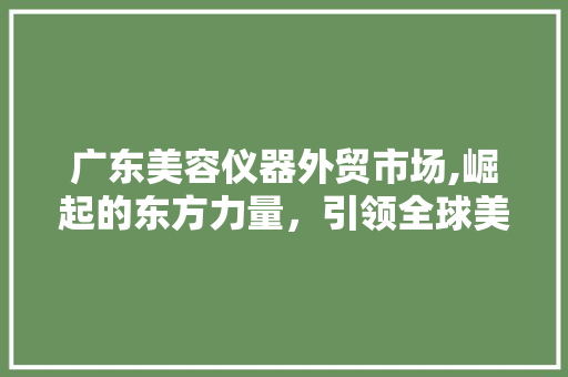 广东美容仪器外贸市场,崛起的东方力量，引领全球美业潮流