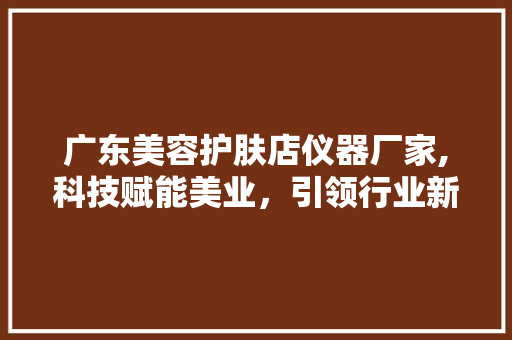 广东美容护肤店仪器厂家,科技赋能美业，引领行业新风尚