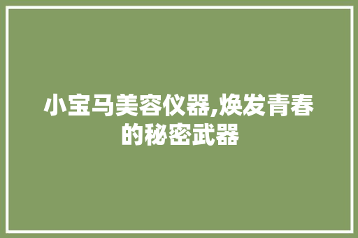 小宝马美容仪器,焕发青春的秘密武器 母婴育儿