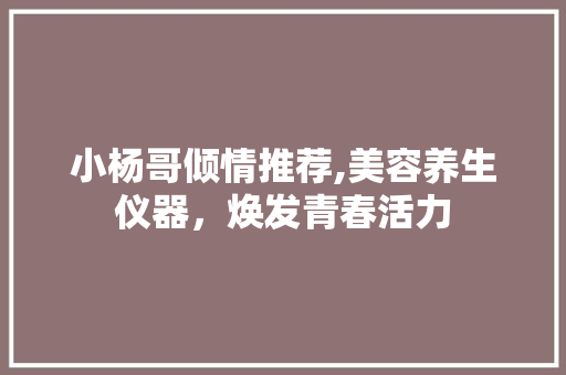 小杨哥倾情推荐,美容养生仪器，焕发青春活力 婚姻情感