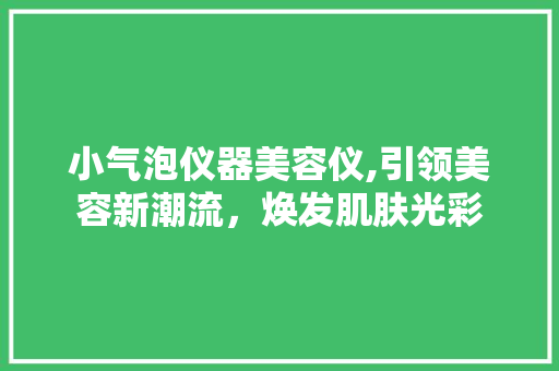 小气泡仪器美容仪,引领美容新潮流，焕发肌肤光彩