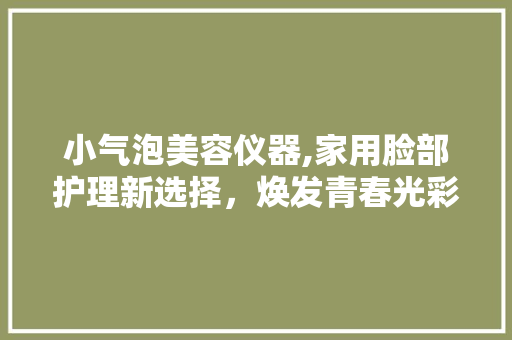 小气泡美容仪器,家用脸部护理新选择，焕发青春光彩 饮食大全