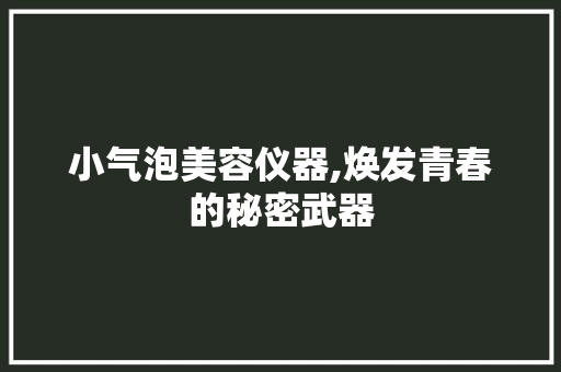 小气泡美容仪器,焕发青春的秘密武器