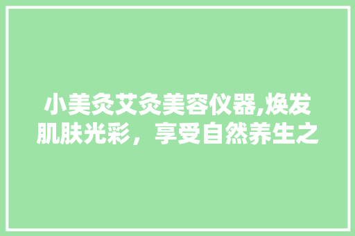 小美灸艾灸美容仪器,焕发肌肤光彩，享受自然养生之美 美体修身
