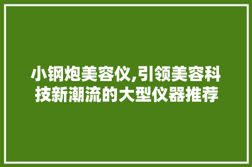 小钢炮美容仪,引领美容科技新潮流的大型仪器推荐