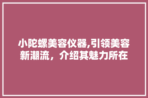 小陀螺美容仪器,引领美容新潮流，介绍其魅力所在