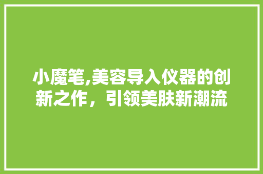 小魔笔,美容导入仪器的创新之作，引领美肤新潮流