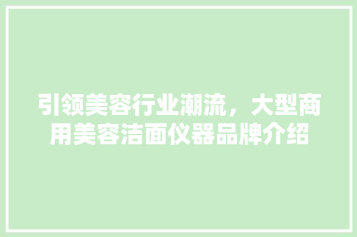 引领美容行业潮流，大型商用美容洁面仪器品牌介绍