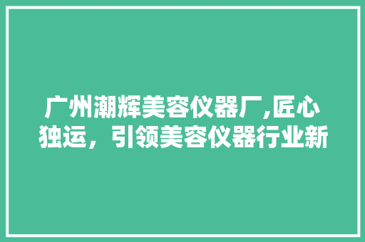 广州潮辉美容仪器厂,匠心独运，引领美容仪器行业新潮流