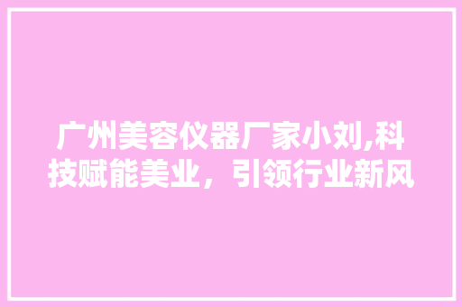 广州美容仪器厂家小刘,科技赋能美业，引领行业新风尚 综合便民