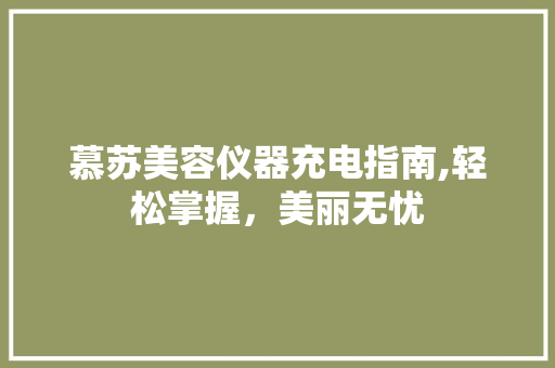 慕苏美容仪器充电指南,轻松掌握，美丽无忧
