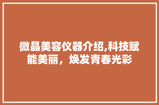 微晶美容仪器介绍,科技赋能美丽，焕发青春光彩
