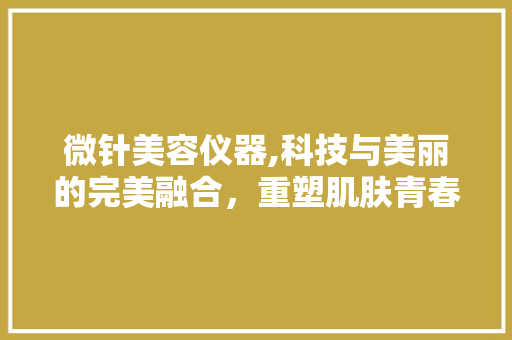 微针美容仪器,科技与美丽的完美融合，重塑肌肤青春轮廓