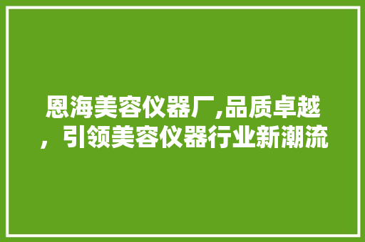 恩海美容仪器厂,品质卓越，引领美容仪器行业新潮流